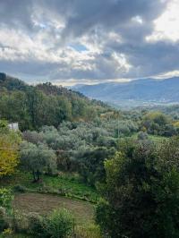 Casa indipendente in vendita a Montedivalli, Podenzana (MS)