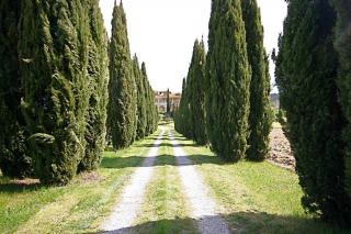 Rustico in vendita a San Martino, Certaldo (FI)