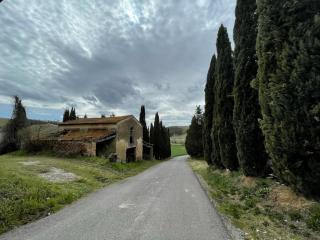 Rustico in vendita a Certaldo (FI)