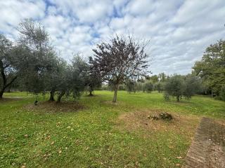 Casa indipendente in vendita a Siena (SI)