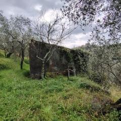 Terreno edificabile in vendita a Trebiano, Arcola (SP)