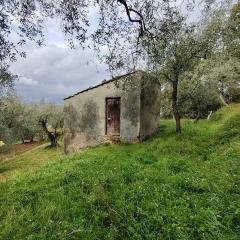 Terreno edificabile in vendita a Trebiano, Arcola (SP)