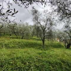 Terreno edificabile in vendita a Trebiano, Arcola (SP)