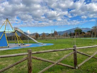 Appartamento in vendita a Porta A Lucca, Pisa (PI)