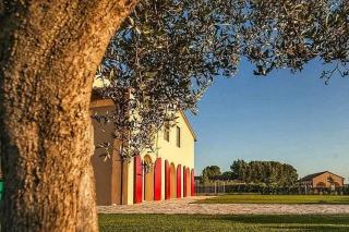 Rustico in vendita a San Giuliano Terme (PI)