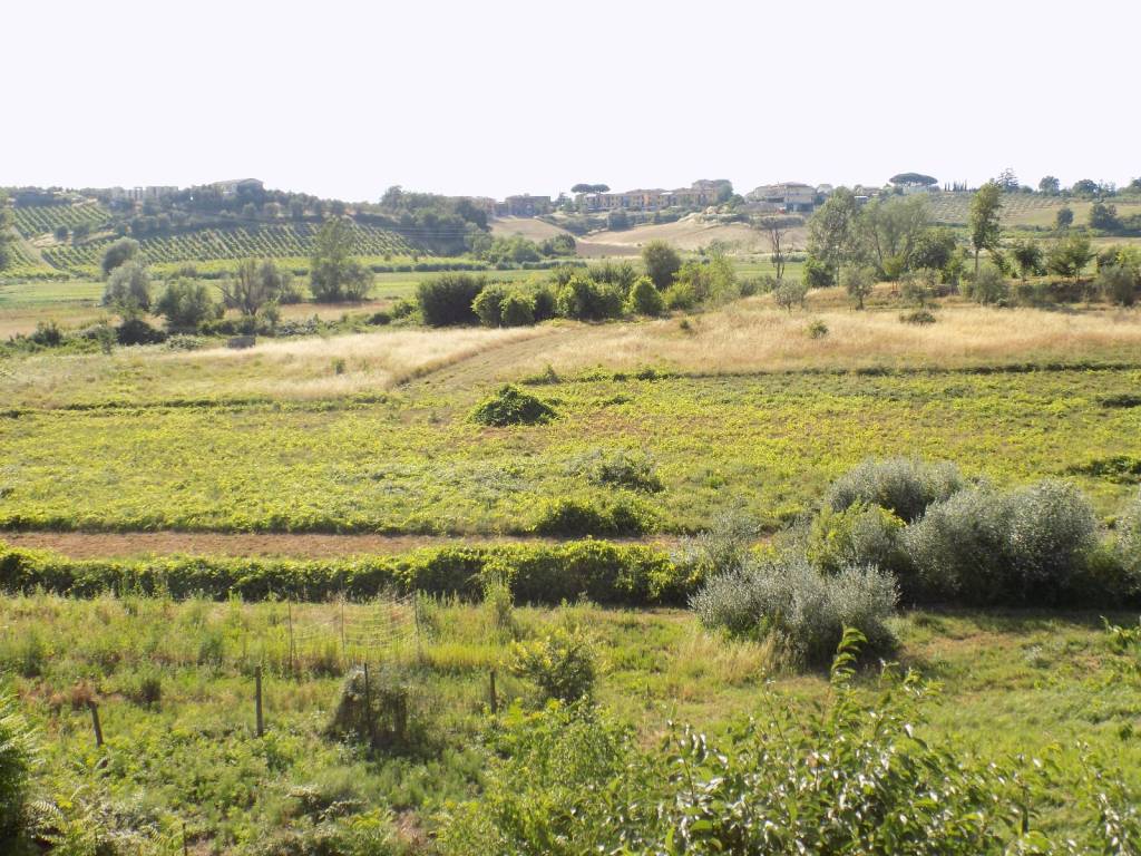 Terratetto in vendita a San Pantaleo, Vinci (FI)