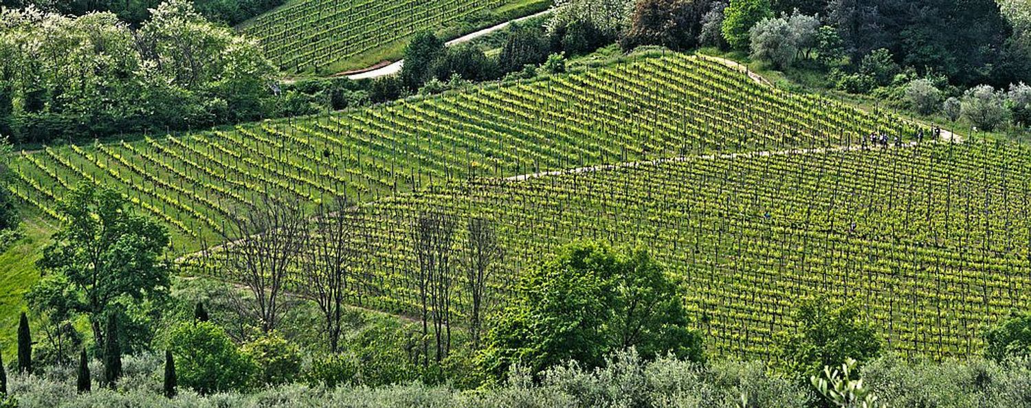 Rustico in vendita a Badia Pozzeveri, Altopascio (LU)