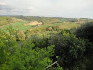 Fondo commerciale in vendita a Peccioli (PI)