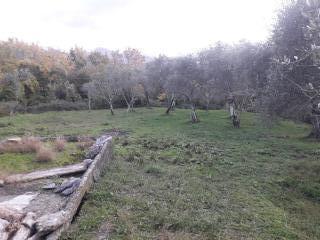 Rustico in vendita a Fivizzano (MS)