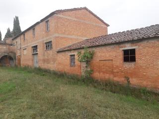 Terreno agricolo in vendita a Asciano (SI)