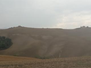 Terreno agricolo in vendita a Asciano (SI)