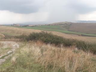 Terreno agricolo in vendita a Asciano (SI)