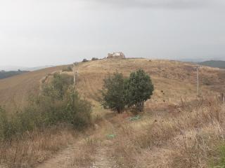 Terreno agricolo in vendita a Asciano (SI)