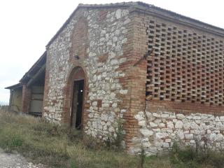 Terreno agricolo in vendita a Asciano (SI)