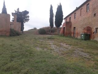 Terreno agricolo in vendita a Asciano (SI)