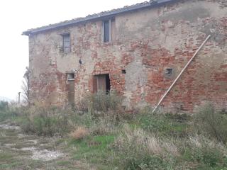 Terreno agricolo in vendita a Asciano (SI)