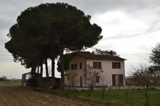 Casa indipendente in vendita a Campiglia Marittima (LI)