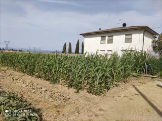 Casa indipendente in vendita a Venturina, Campiglia Marittima (LI)