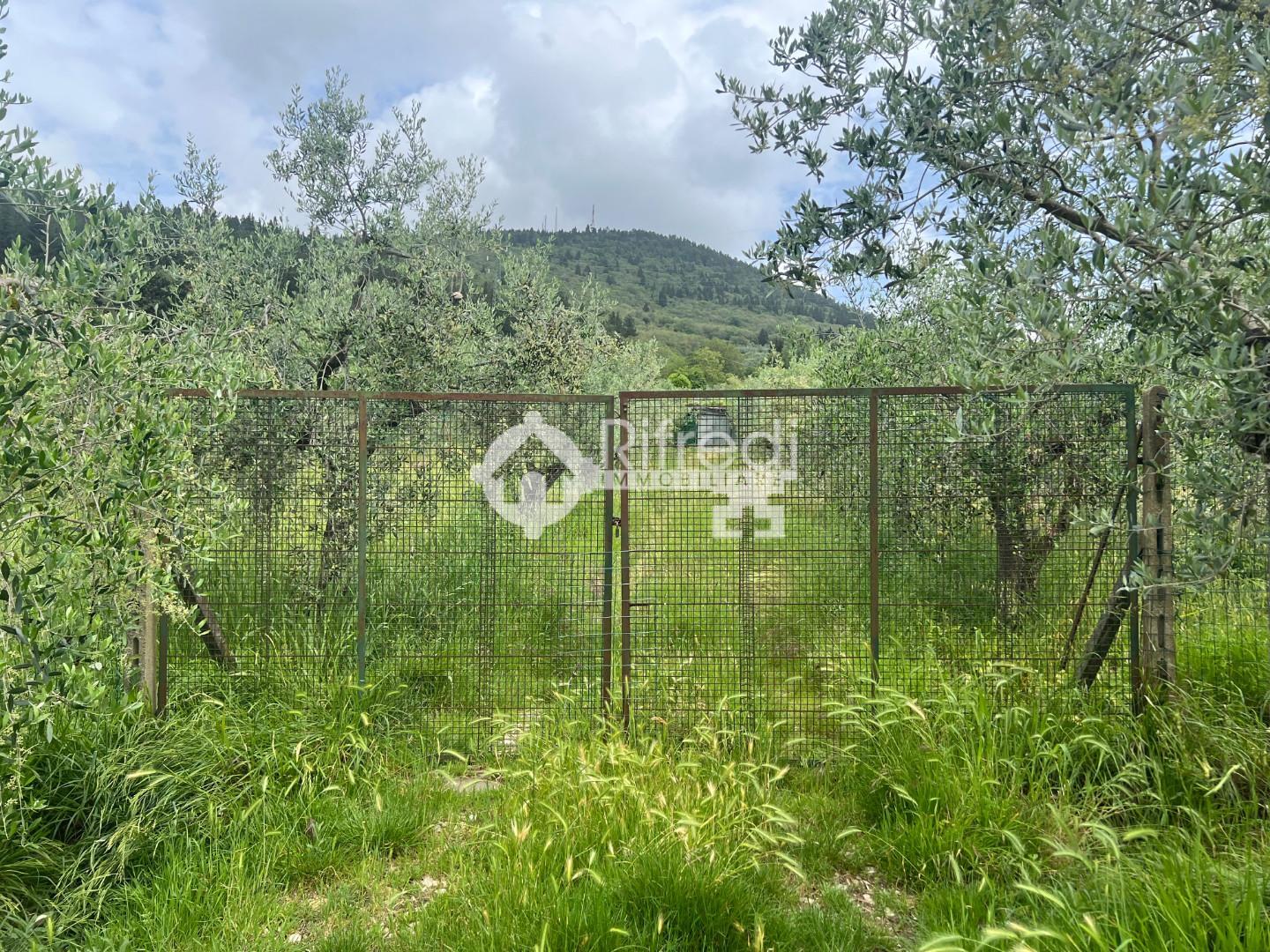 Terreno agricolo in vendita a Morello, Sesto Fiorentino (FI)