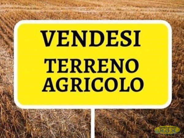 Terreno agricolo in vendita a Melone, Santa Maria A Monte (PI)