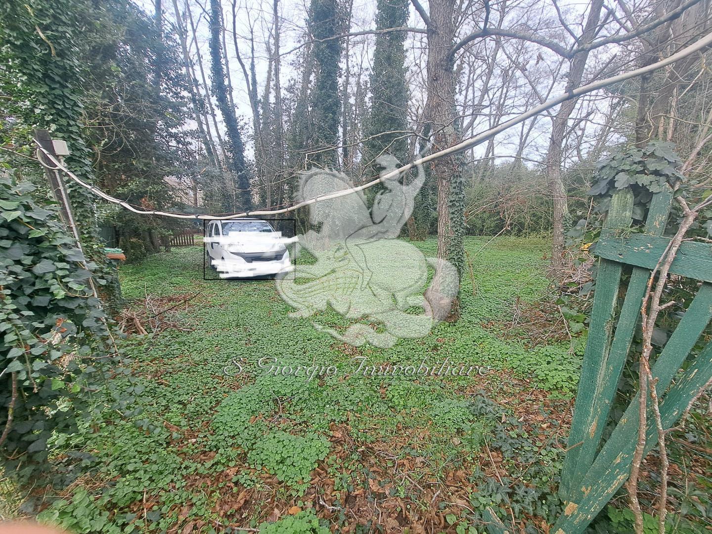 Terreno agricolo in vendita a Tirrenia, Pisa (PI)