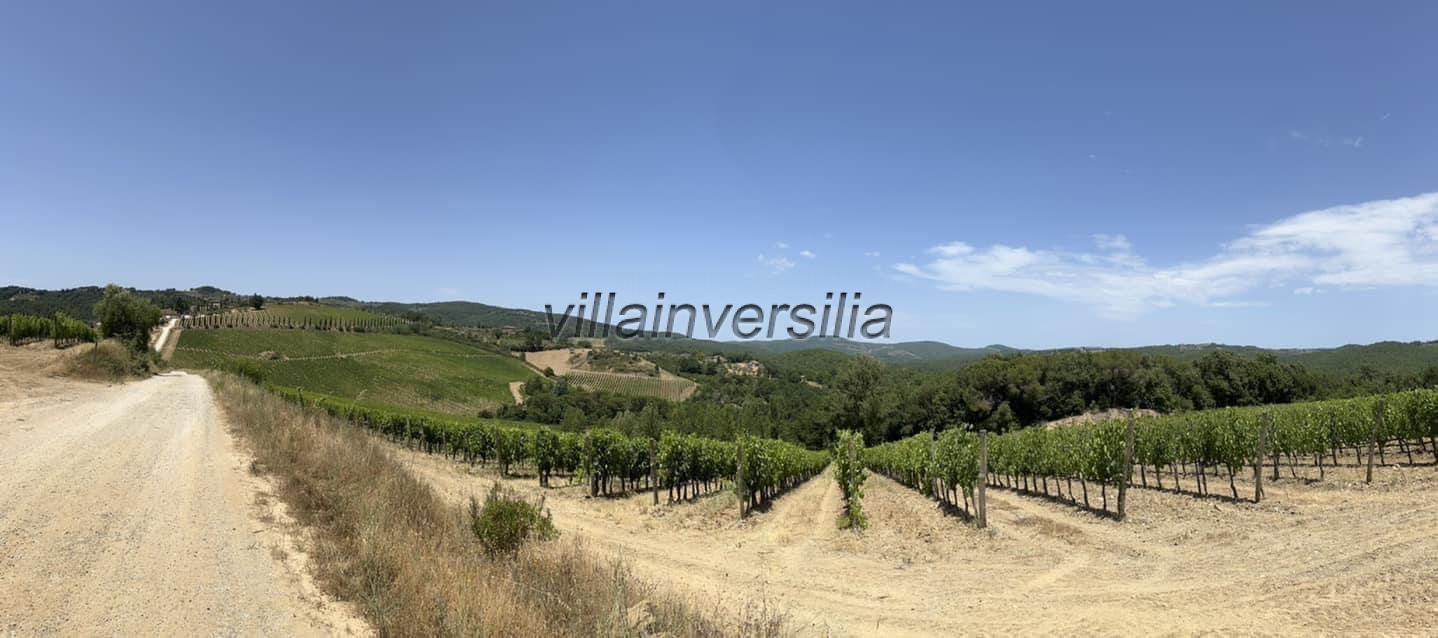 Terreno agricolo in vendita a Castelnuovo Berardenga (SI)