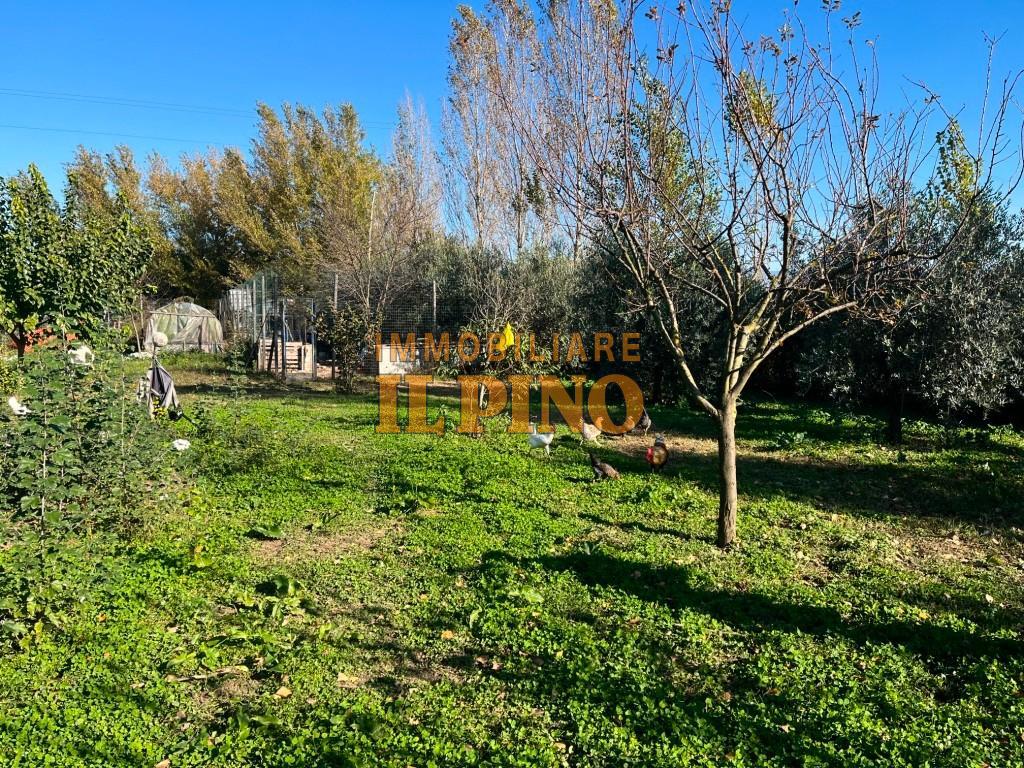 Terreno agricolo in vendita a Putignano Pisano, Pisa (PI)