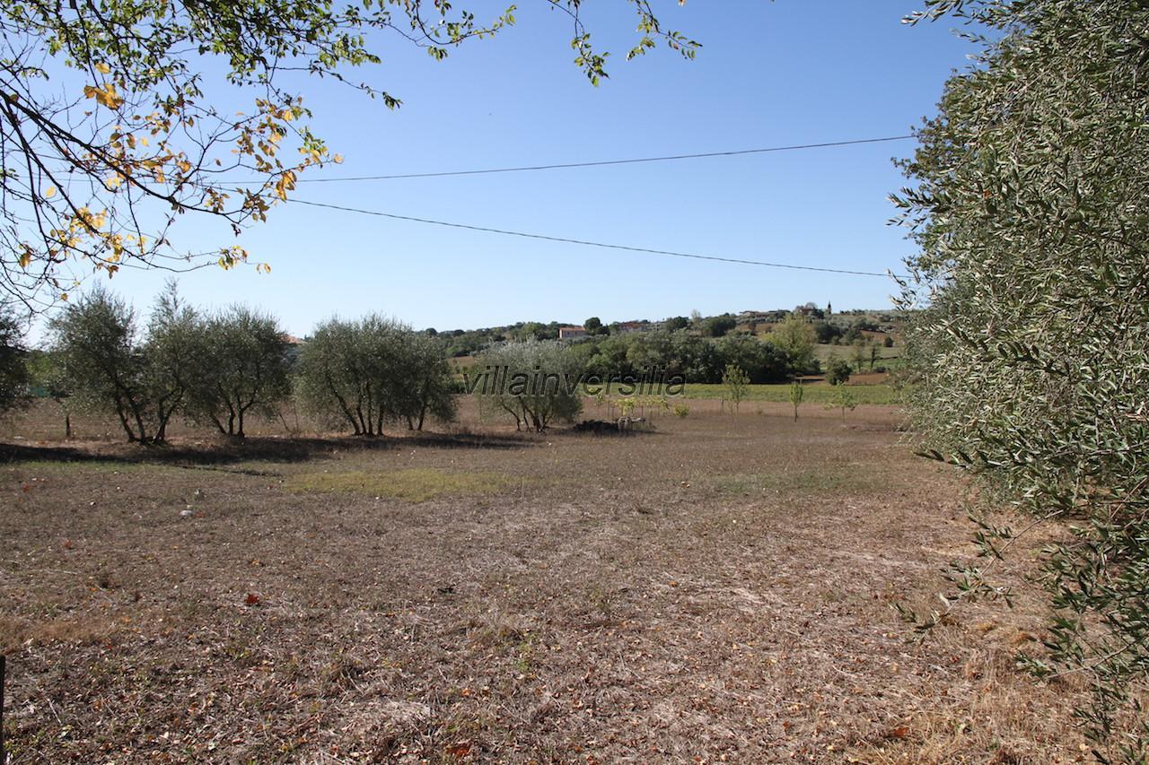 Simonetta Cecchini La Tua Villa In Versilia In Vendita